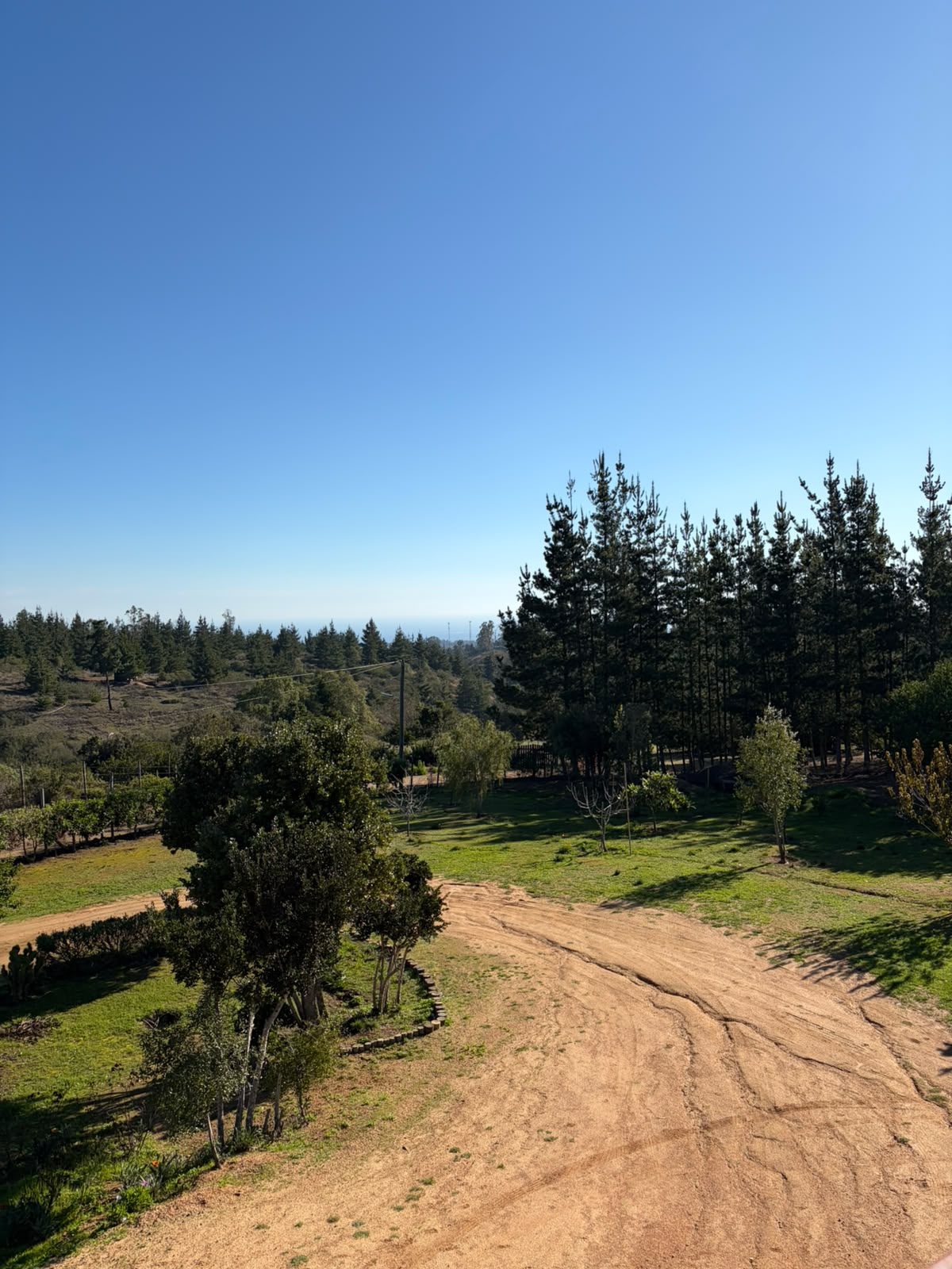 El camino de acceso y el entorno de la parcela — Parcela C1, Parcela Guadalupe