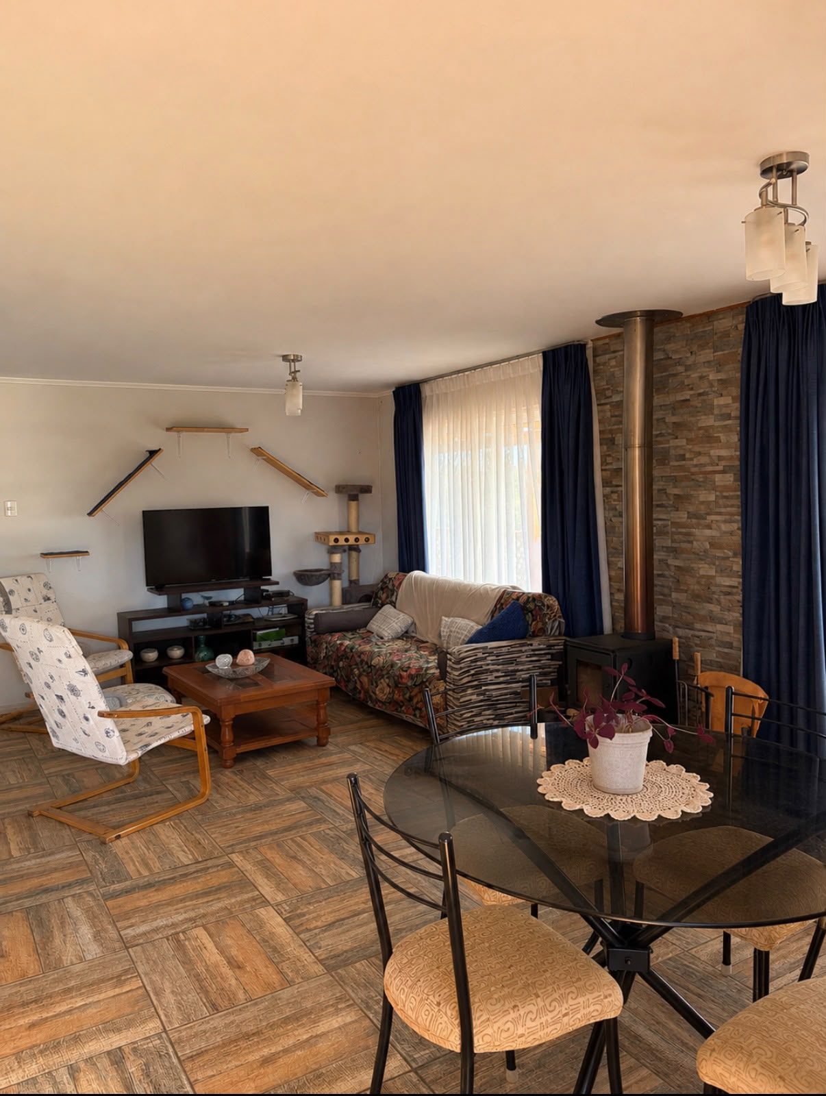 Living comedor de la casa principal, con combustión lenta — Parcela C1, Parcela Guadalupe