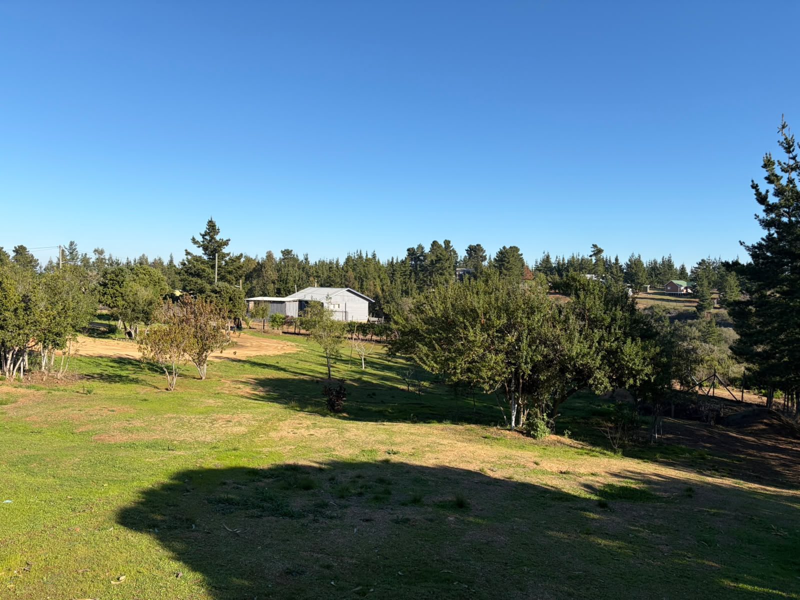 El terreno arbolado — Parcela C1, Parcela Guadalupe